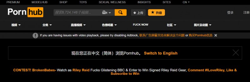全球最大的大人站Pornhub支持中文了，再也不用翻译插件了！